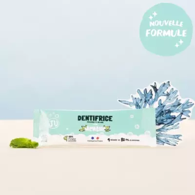 Dentifrice en poudre à diluer - menthe